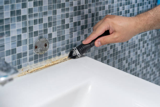 Best Mold Removal Company Near Me  in Ladson, SC