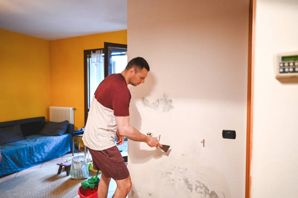 Best Mold Damage Repair  in Ladson, SC